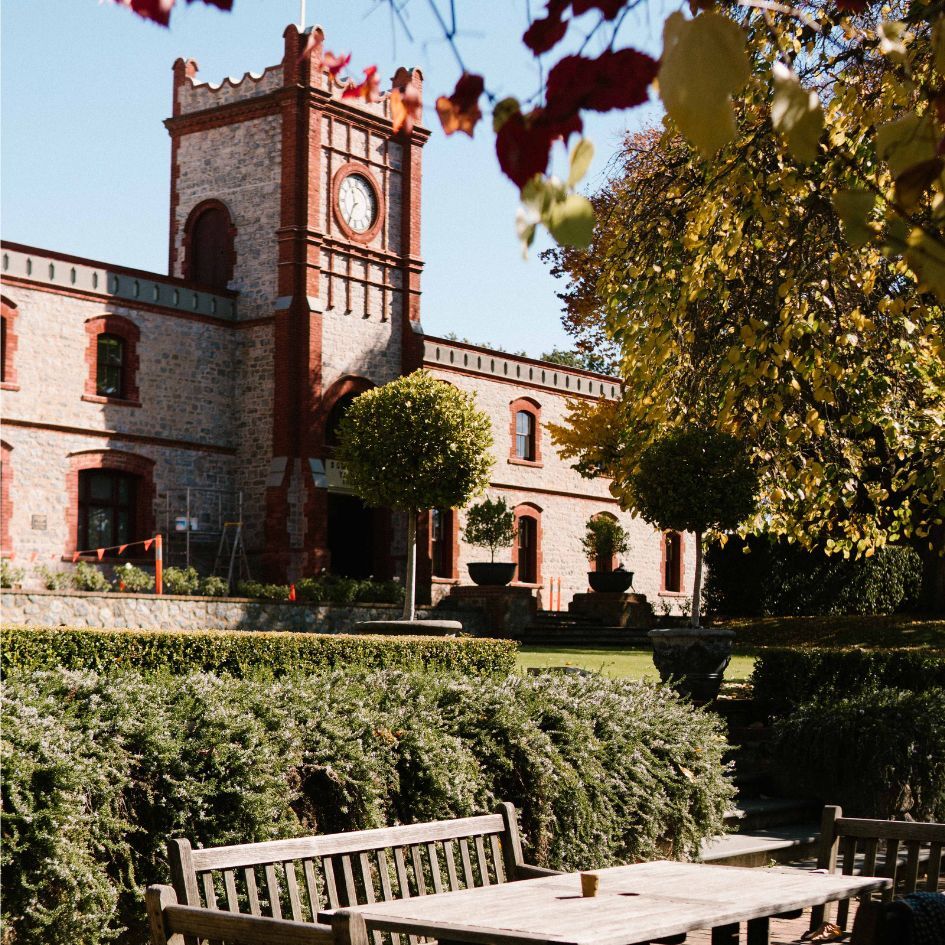 Things to do in the Barossa: Where to eat, play, drink, stay and have the best time